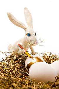 兔子圆摄影照片_复活节兔子画鸡蛋