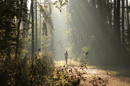 公路奔跑摄影照片_一个人在森林里奔跑