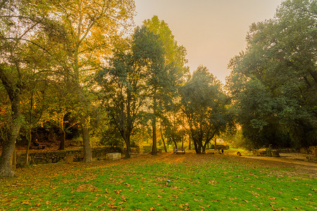 萨恩摄影照片_恩赫米德国家公园的野餐区，有秋叶
