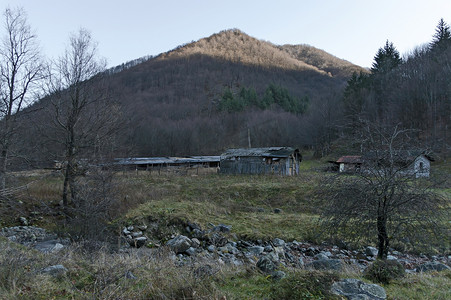 巴尔干山泰特文镇维特河附近山落叶林中的老羊小屋