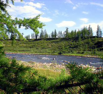 俄罗斯北部针叶林河流。