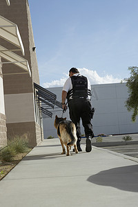 保安带着狗巡逻的后视图