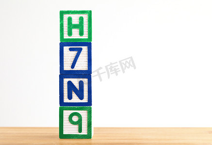 H7N9 木制积木