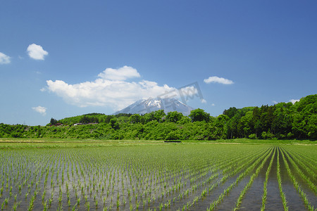 岩手山和田园风光