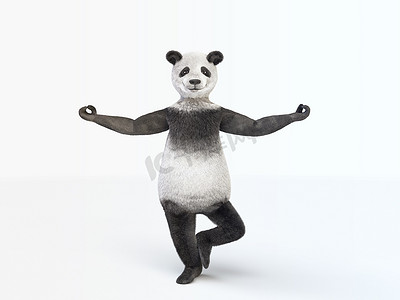 人物角色动物熊熊猫站立平衡位置