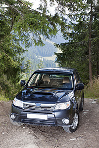 树林间摄影照片_树林间的SUV。