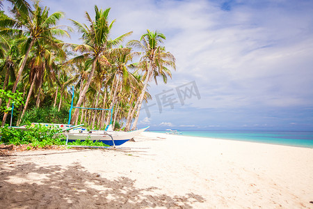 荒岛白色沙滩上的椰子棕榈树