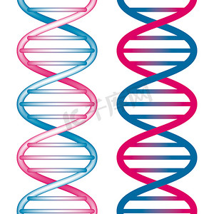 无缝 DNA 符号