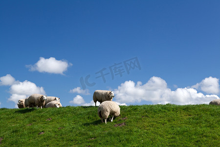 白羊座小人摄影照片_天空上的白羊