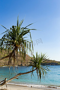 努沙佩尼达岛著名的水晶海滩