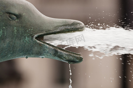 海豚喷泉