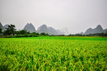 Guilin Li river Karst mountain landscape in Yangshuo