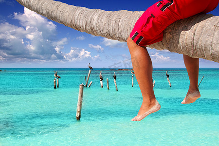 加勒比倾斜棕榈树海滩旅游腿
