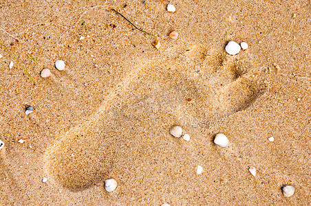 沙子上的脚印与贝壳