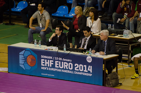 2014 年 EHF 欧洲杯评委