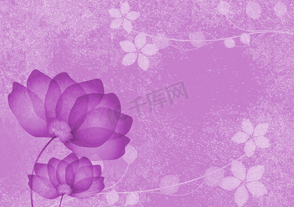 花朵边框设计边框摄影照片_紫色花朵背景