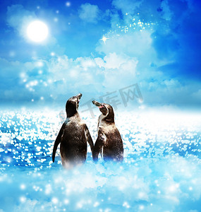 夜间幻想风景中的企鹅夫妇