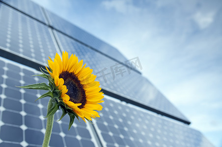 向日葵和太阳能电池板与阳光