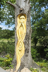塔伯特公园的凯尔特树雕刻