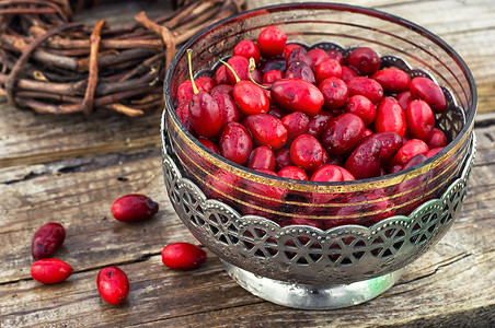 深红色红色摄影照片_山茱萸浆果与草本药用灌木