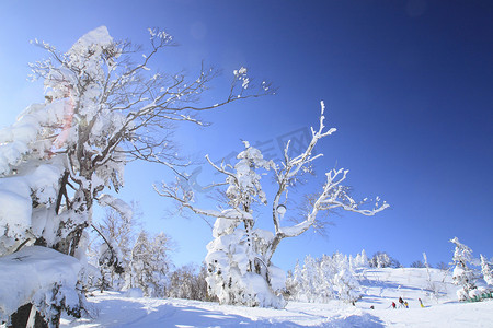 滑雪道