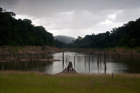 泰国也拉的巴拉哈拉森林