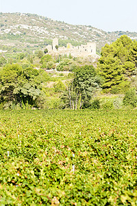 德班科比埃尔的城堡与葡萄园，朗格多克-鲁西永，