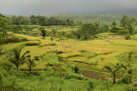 印度尼西亚巴厘岛的风景