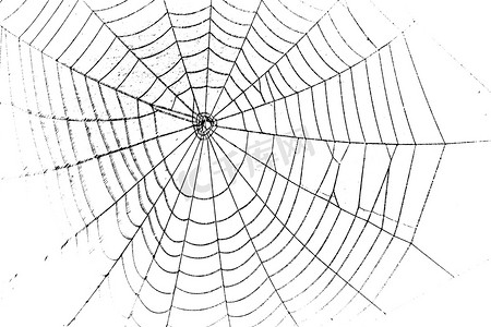万圣节非常可怕的蜘蛛网
