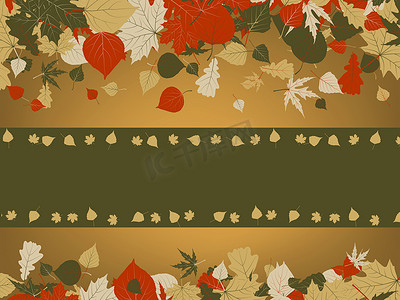 发言矢量图摄影照片_由色彩缤纷的秋叶形成的框架。