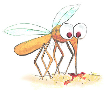 驱避剂摄影照片_一只蚊子的有趣插图