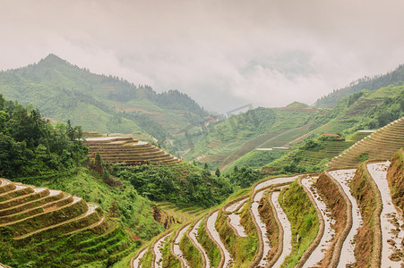 梯田和山，雾，