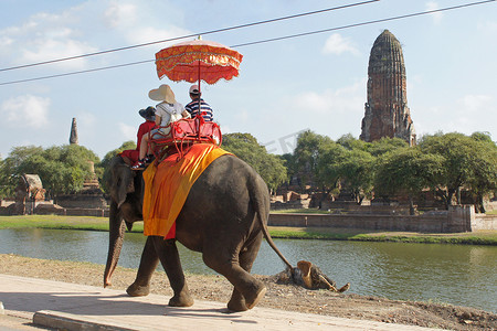 大象图腾摄影照片_大城府, 泰国, 亚洲