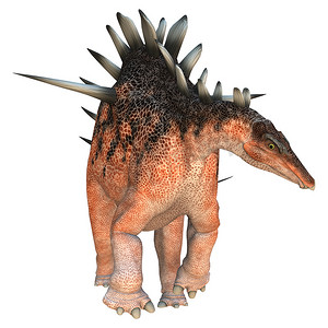 恐龙 Kentrosaurus