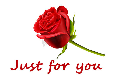 只为你，在一张带有一朵红玫瑰的卡片上