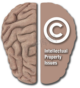 ip知识产权摄影照片_知识产权 IP资产版权