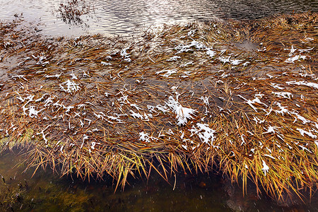 设计舆奇思摄影照片_冬季叶子雪冰抽象韦纳奇河谷