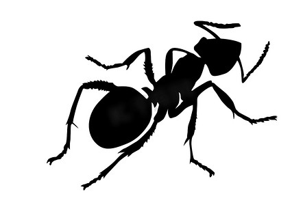鸭脖传单摄影照片_白色背景上的矢量剪影蚂蚁