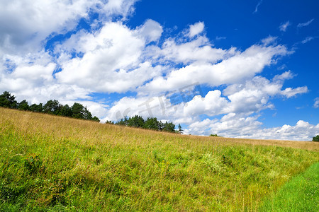 蓝天上美丽的云景在绿色的草地上