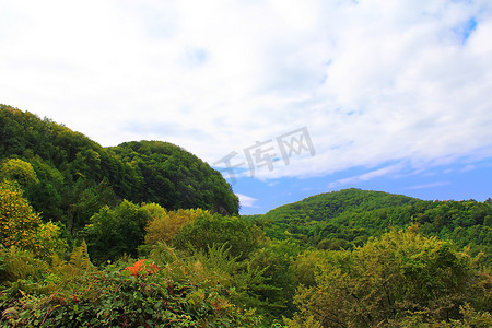 夏季风景与高加索绿山