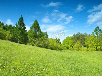 夏季风景与森林