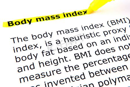 体重指数 (BMI)