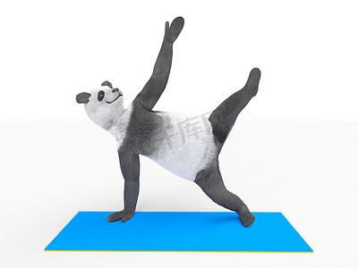 动物人物人物熊猫做瑜伽