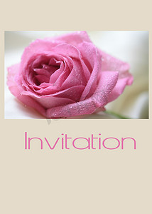 粉红玫瑰卡 - 打印和邮寄邀请函