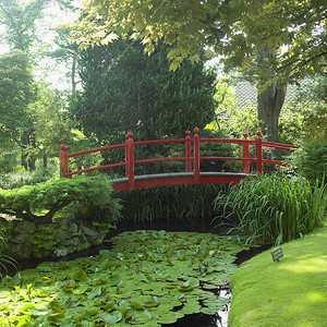 日本花园，塔利，基尔代尔郡，爱尔兰