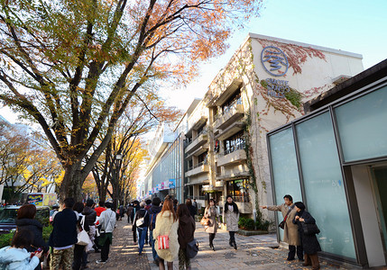 东京 — 11 月 24 日： 日本东京表参道山购物的人们