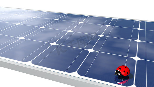 太阳能电池板上的瓢虫