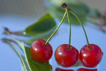 绿色食物插图摄影照片_三颗樱桃