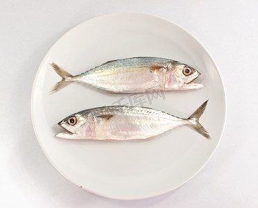 白色背景白盘上的两条鱼