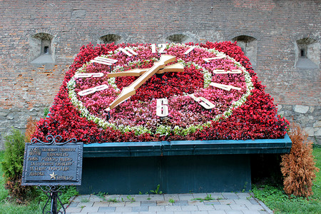 利沃夫用鲜花制成的大钟